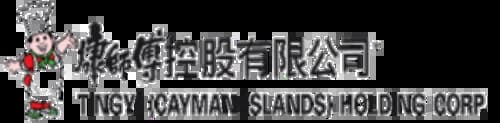 テンイ（ケイマン諸島）ホールディングス株式会社