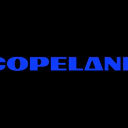 Copeland LP（EMRLD Borrower LP）