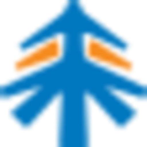 TAL Education Group