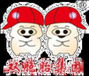 Twins Group Co., Ltd.
