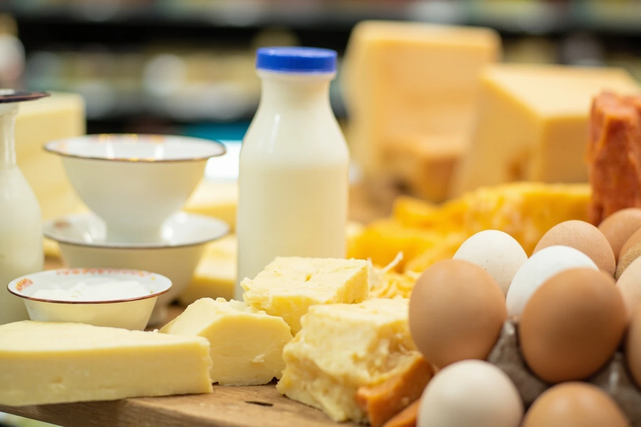 チーズカテゴリーガイド2026:CAGR 10.4%が製品融点を軸に乳製品市場の構造を再編する