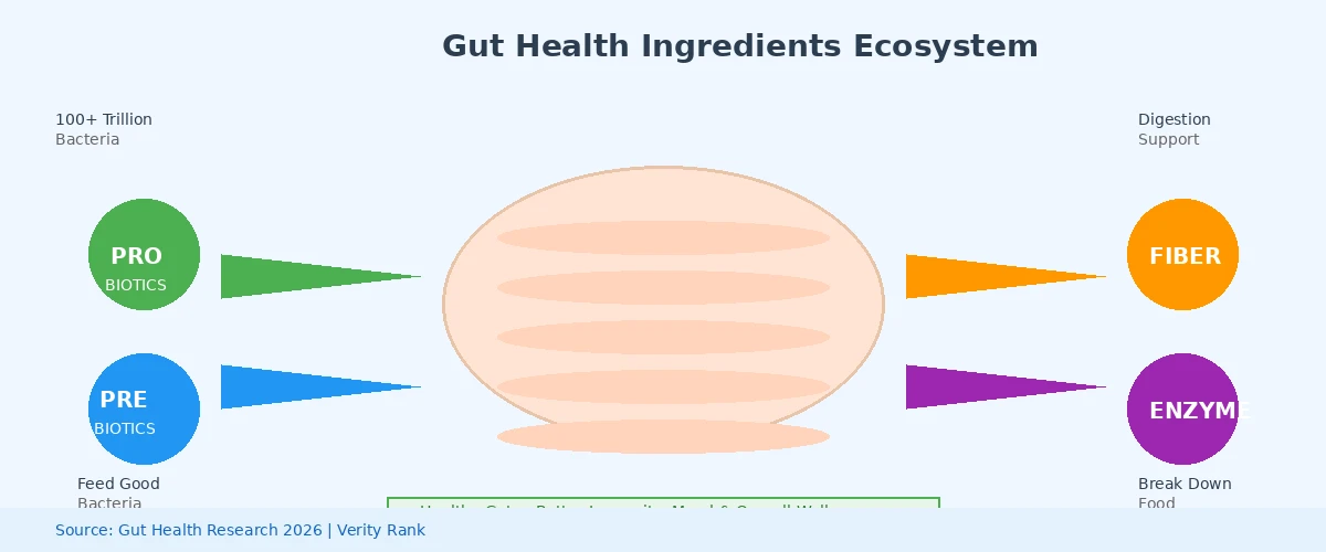 Diagram showing gut health ingredients and their benefits